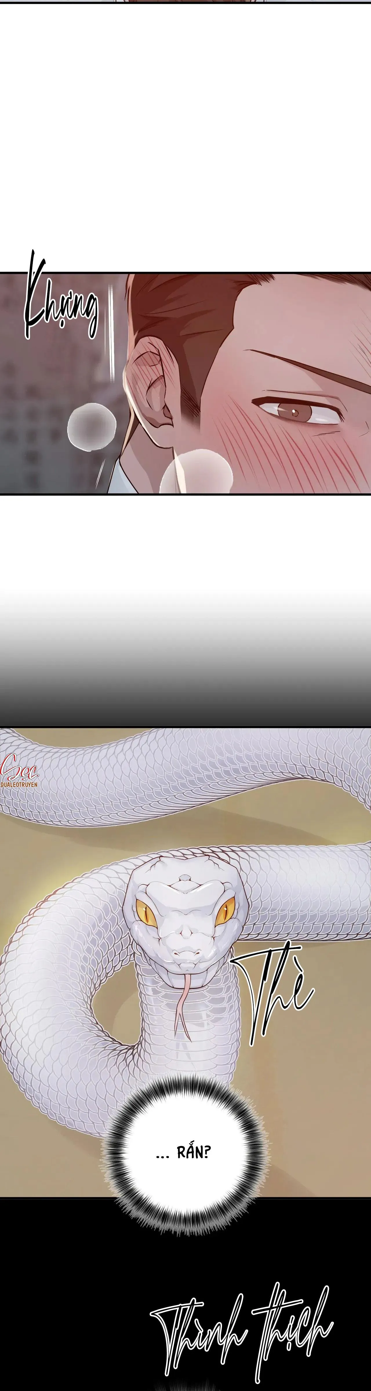 ÂN NHÂN CỦA RẮN Chapter 1 Trang 6