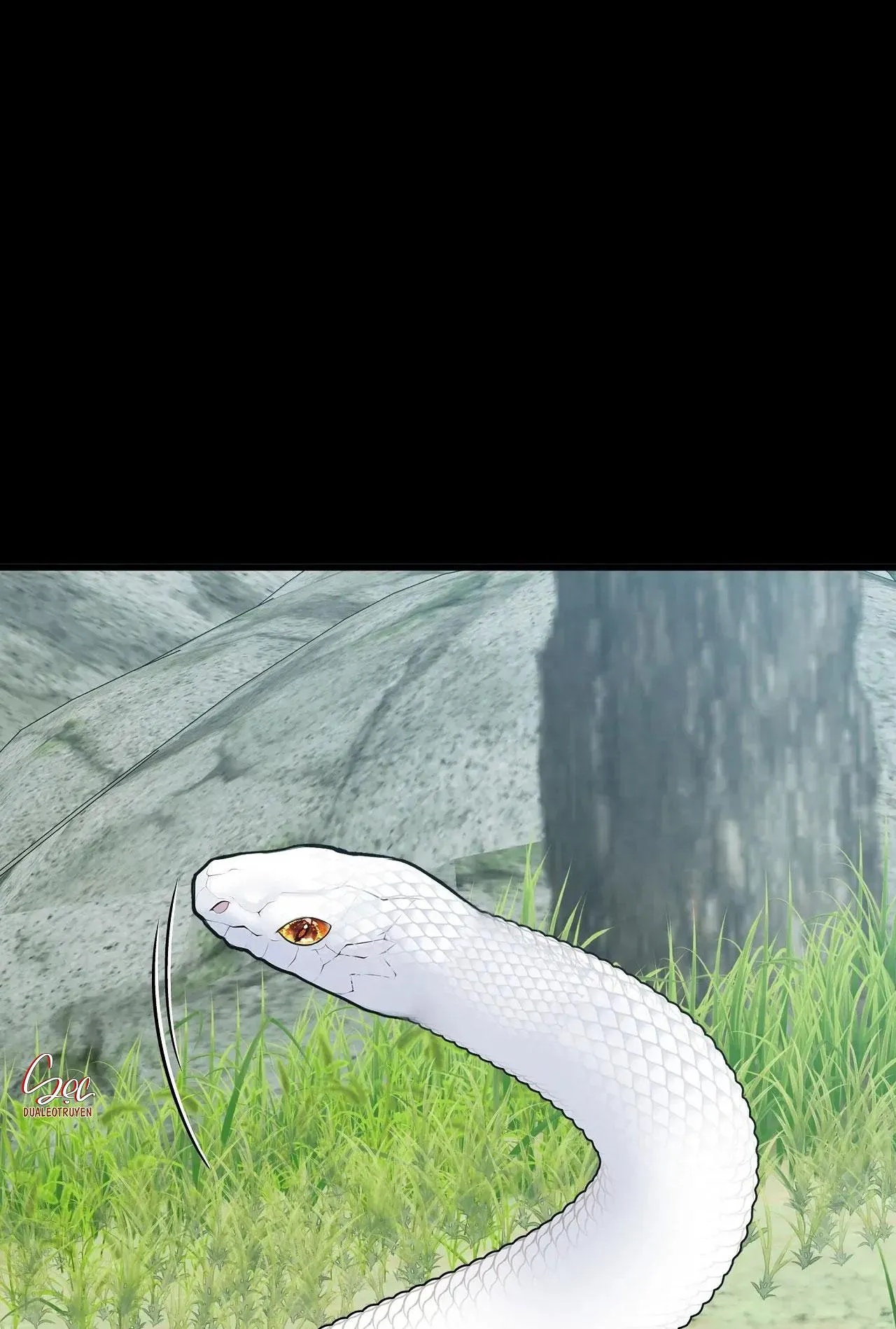 ÂN NHÂN CỦA RẮN Chapter 13 Trang 8