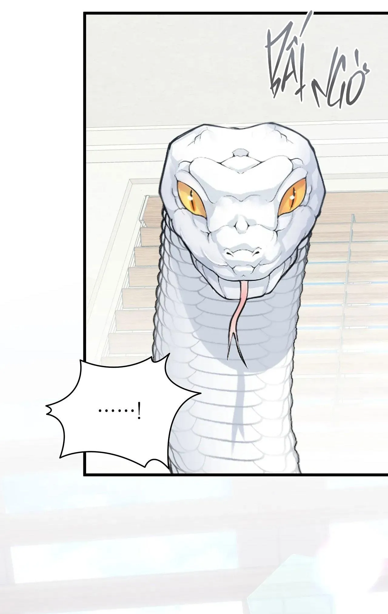 ÂN NHÂN CỦA RẮN Chapter 13 Trang 42