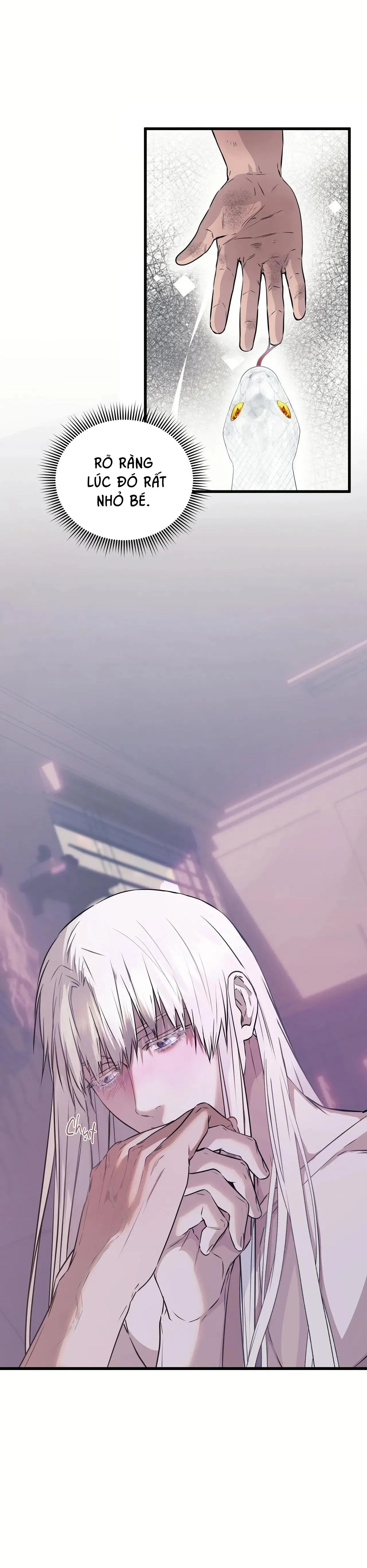 ÂN NHÂN CỦA RẮN Chapter 16 Trang 51