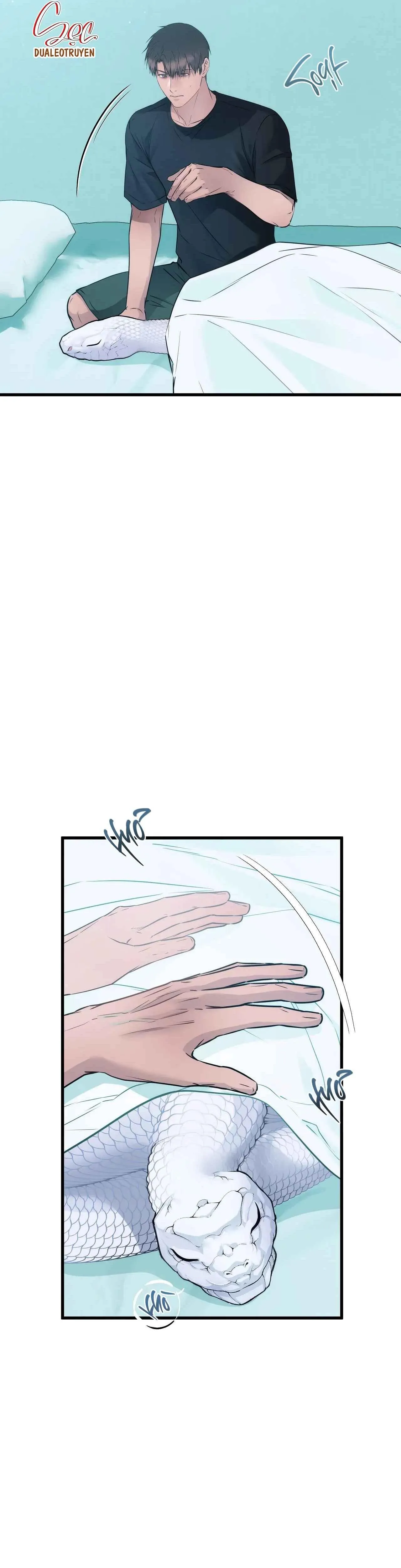 ÂN NHÂN CỦA RẮN Chapter 17 Trang 6