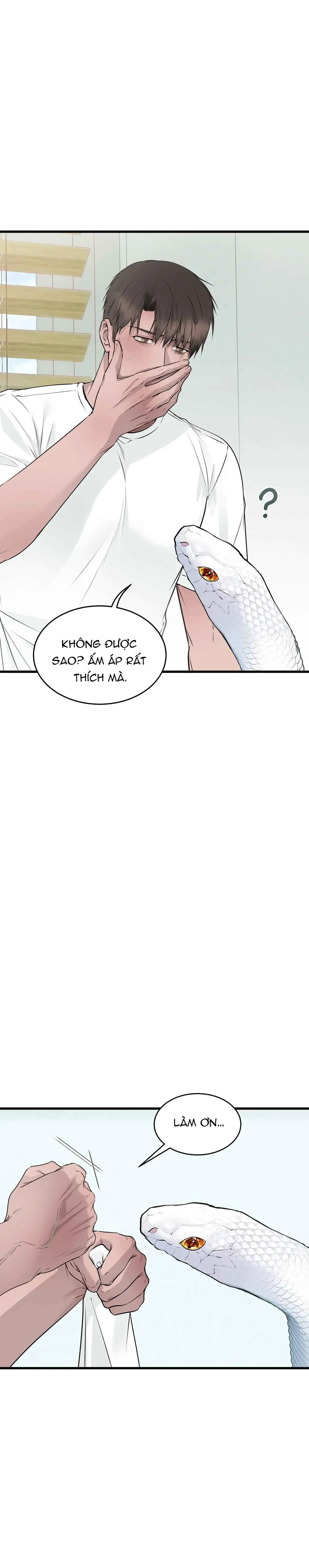 ÂN NHÂN CỦA RẮN Chapter 19 Trang 5