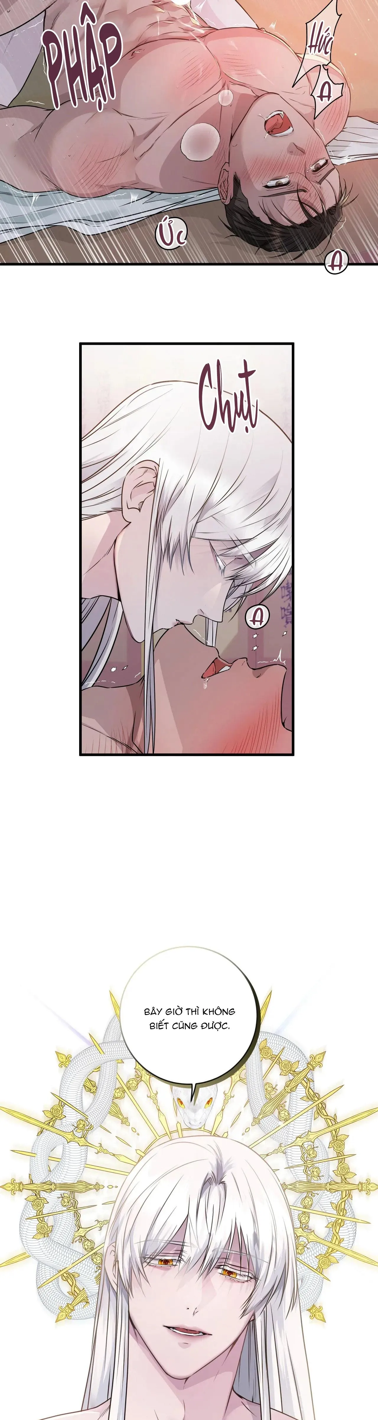 ÂN NHÂN CỦA RẮN Chapter 2 Trang 11