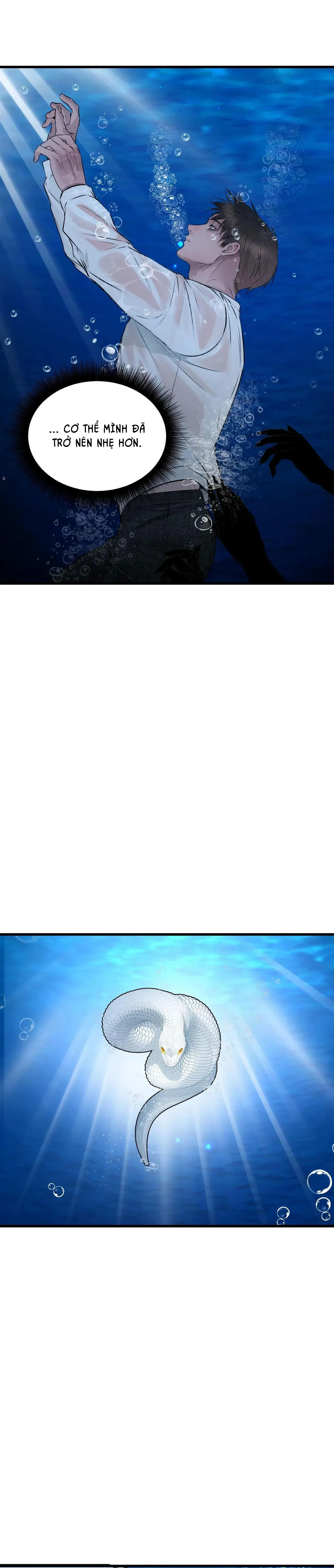 ÂN NHÂN CỦA RẮN Chapter 20 Trang 4