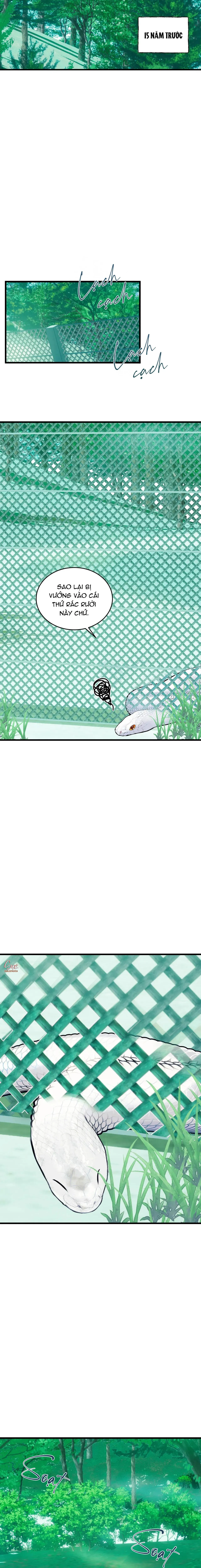 ÂN NHÂN CỦA RẮN Chapter 22 Trang 4