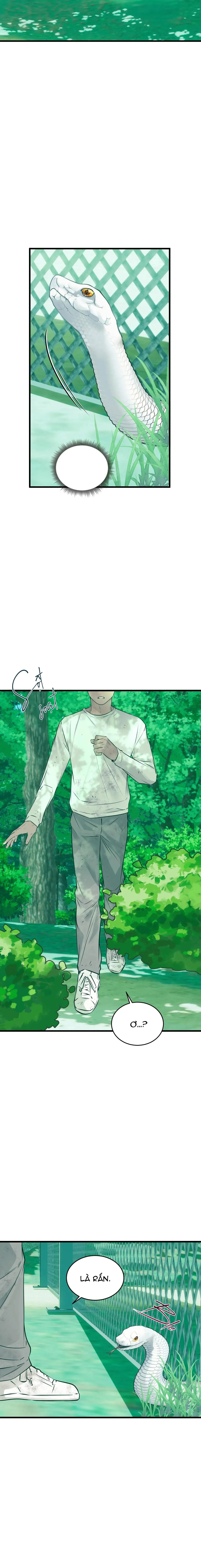 ÂN NHÂN CỦA RẮN Chapter 22 Trang 5
