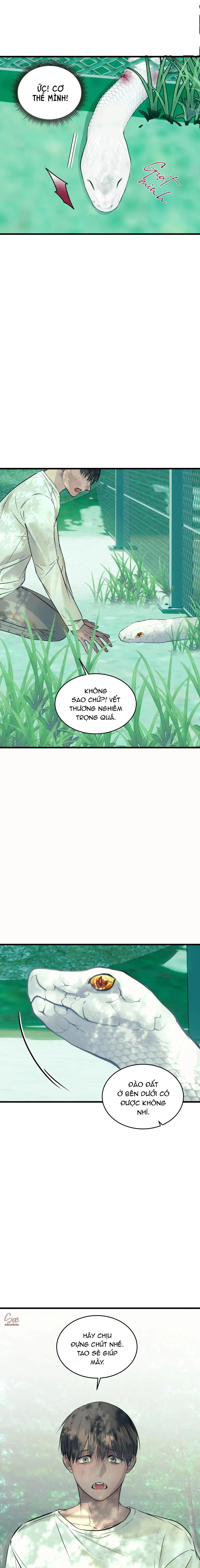 ÂN NHÂN CỦA RẮN Chapter 22 Trang 6