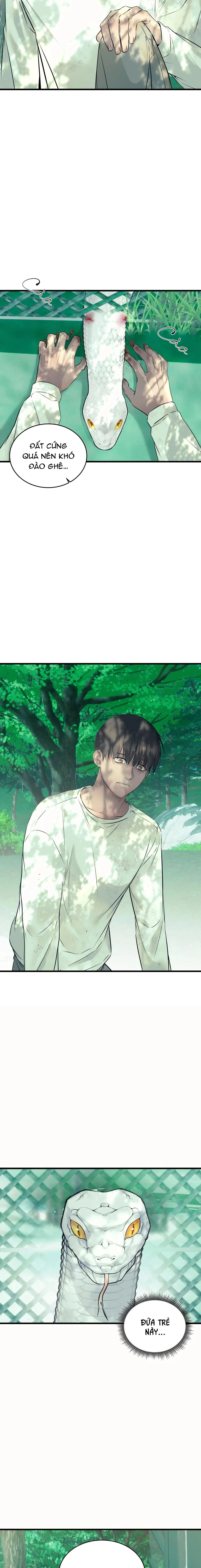 ÂN NHÂN CỦA RẮN Chapter 22 Trang 7