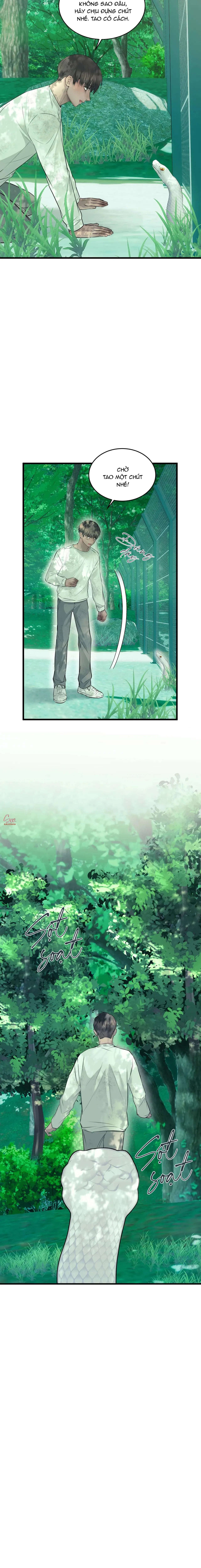 ÂN NHÂN CỦA RẮN Chapter 22 Trang 8