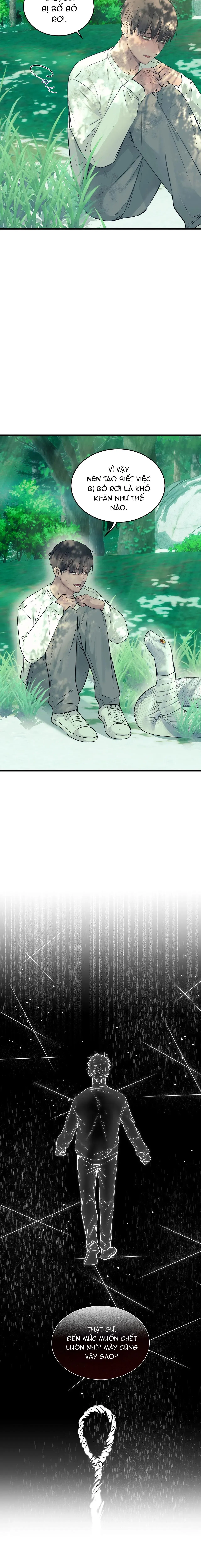 ÂN NHÂN CỦA RẮN Chapter 22 Trang 10