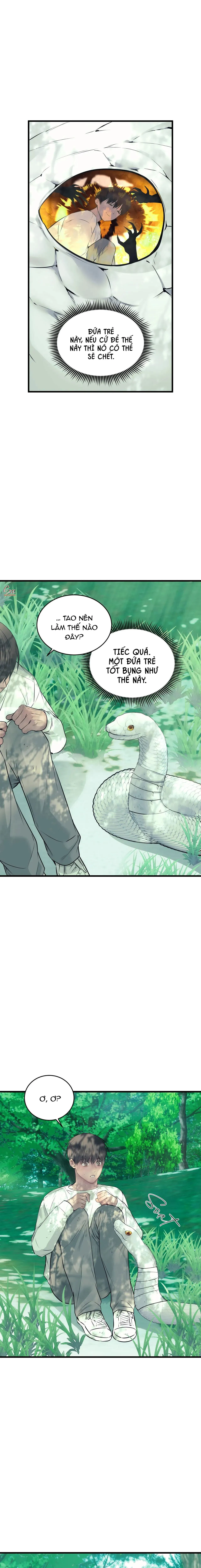 ÂN NHÂN CỦA RẮN Chapter 22 Trang 11