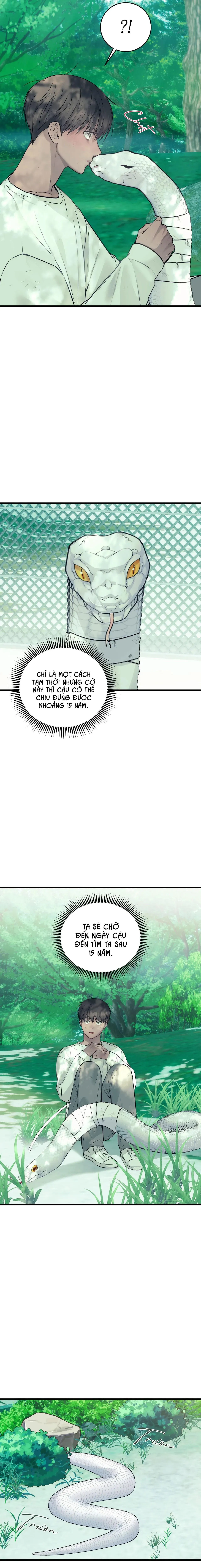 ÂN NHÂN CỦA RẮN Chapter 22 Trang 12