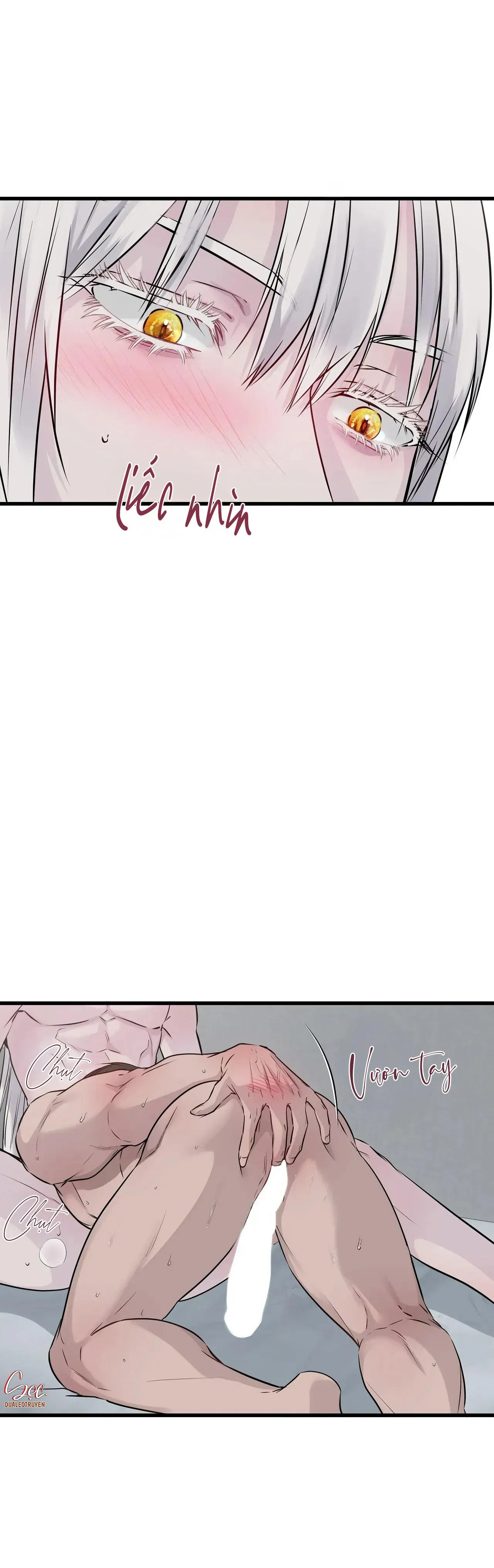 ÂN NHÂN CỦA RẮN Chapter 24 Trang 15