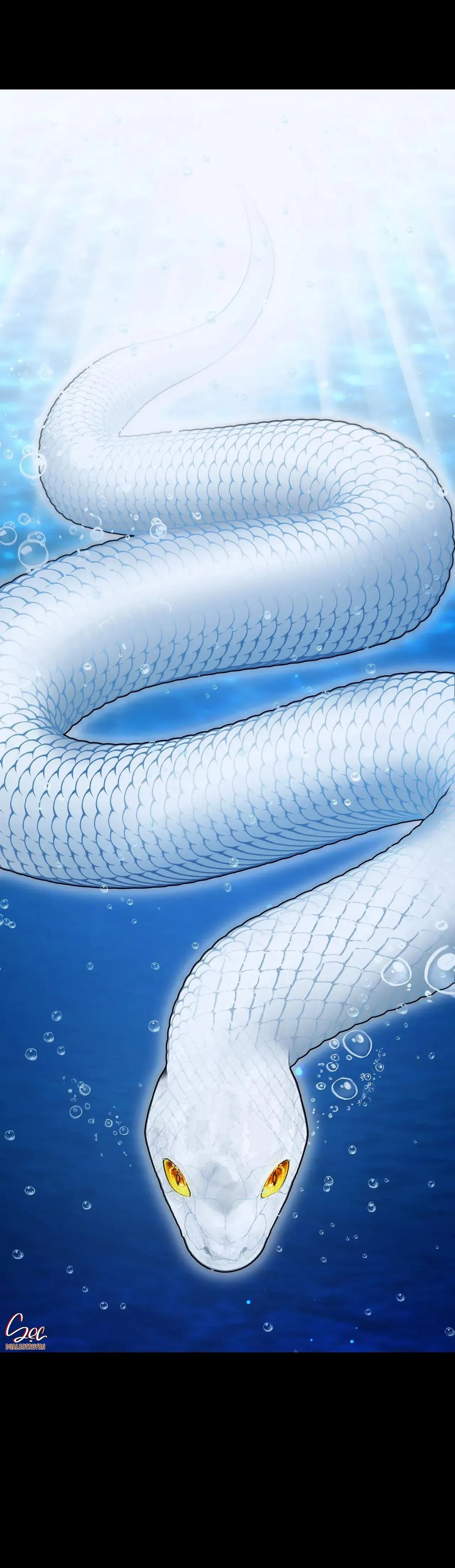 ÂN NHÂN CỦA RẮN Chapter 27 Trang 5