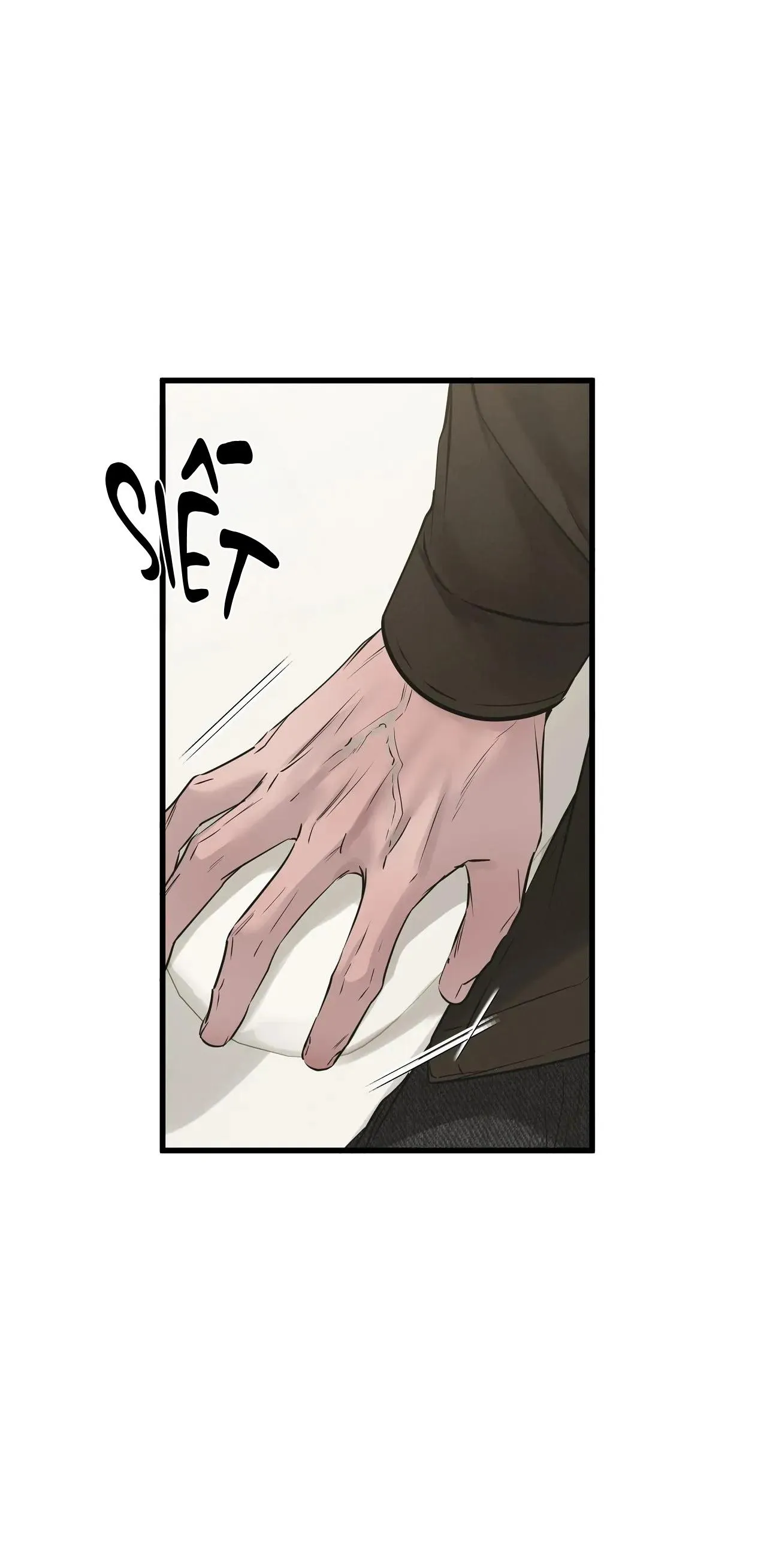 ÂN NHÂN CỦA RẮN Chapter 27 Trang 13