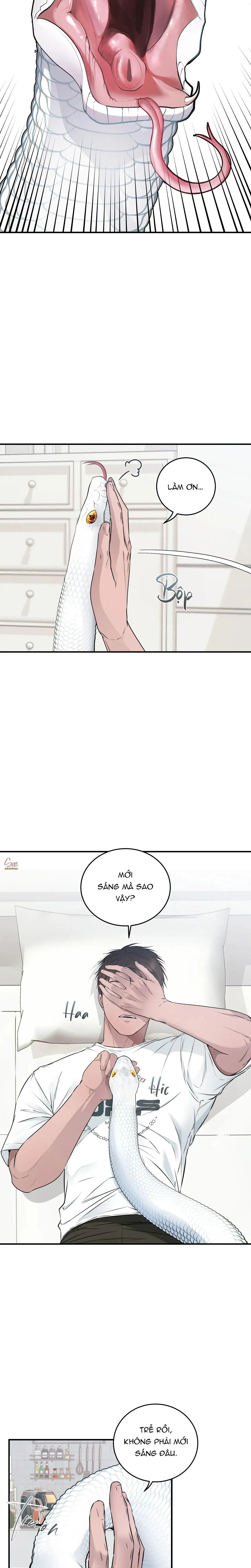 ÂN NHÂN CỦA RẮN Chapter 7 Trang 15