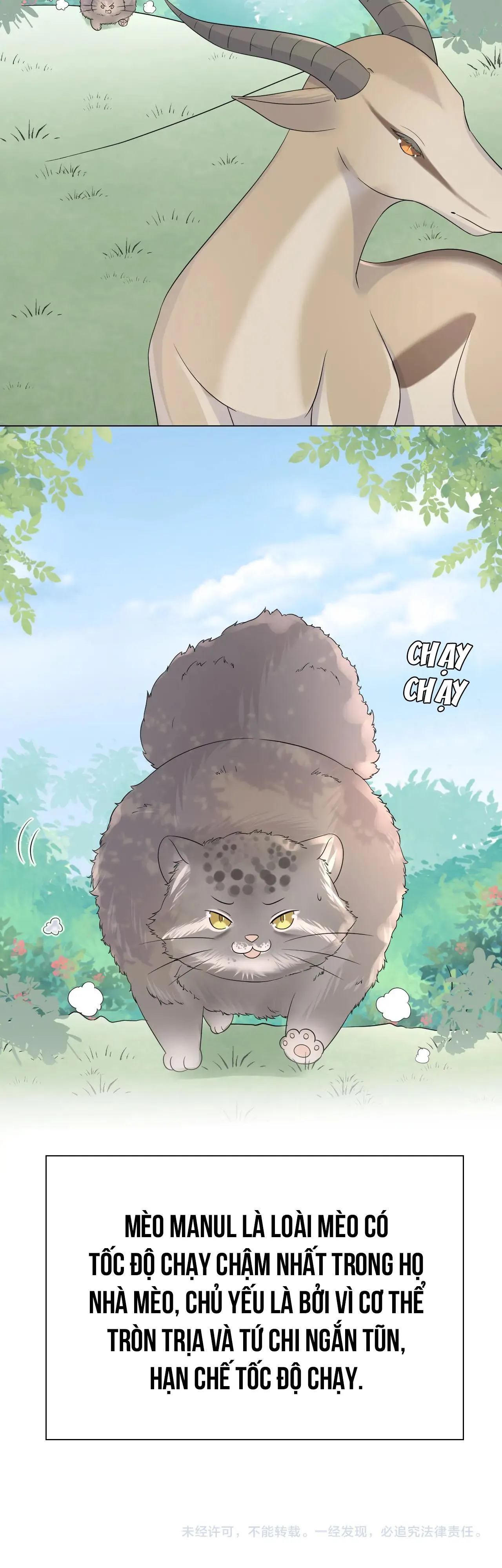 Ăn Sạch Thỏ Chapter 12 Trang 33