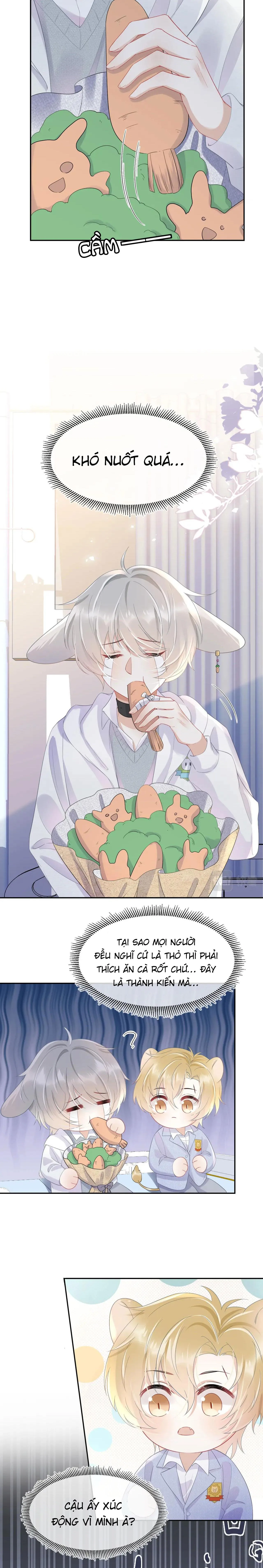 Ăn Sạch Thỏ Chapter 6 Trang 4