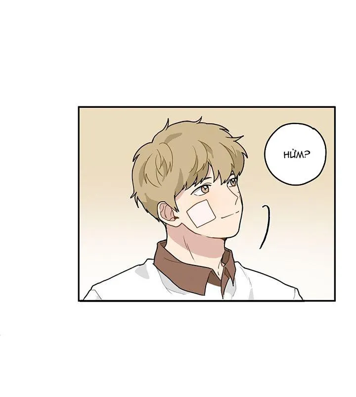 Anh Hùng Biến Thái Và Fan Cuồng Số 1 Chapter 4 Trang 13