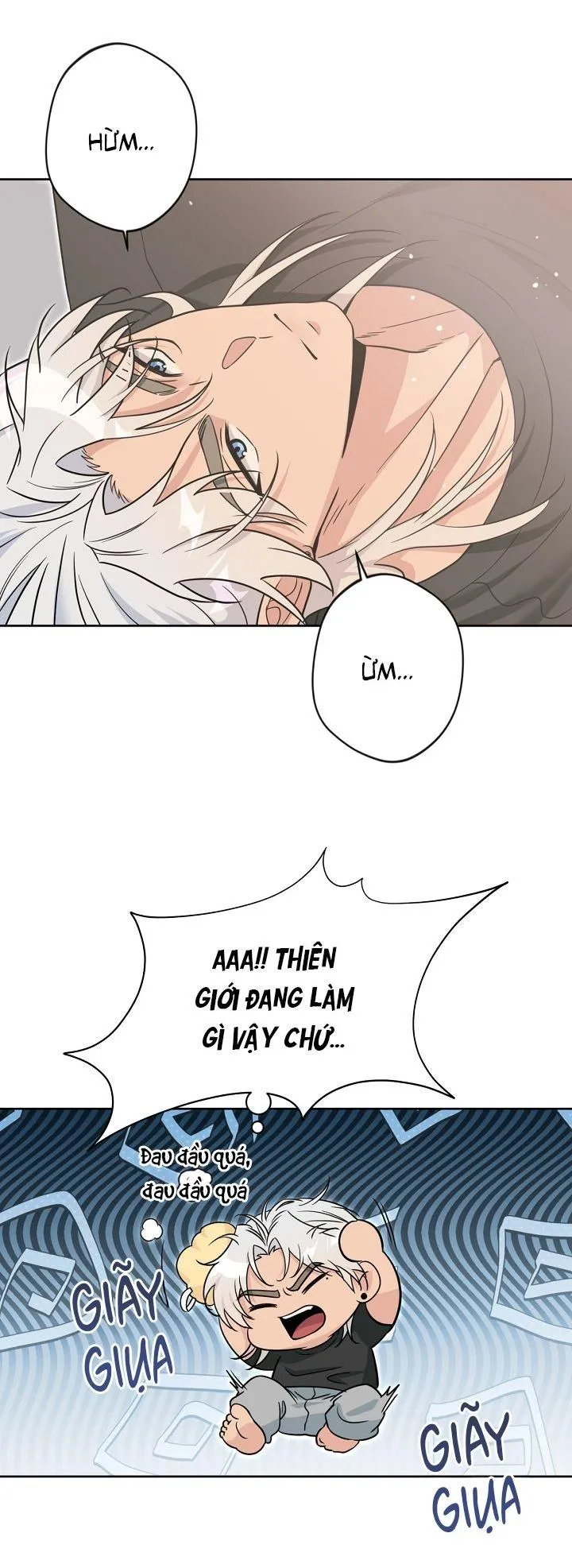 Angel kiss Chapter 40 Trang 42