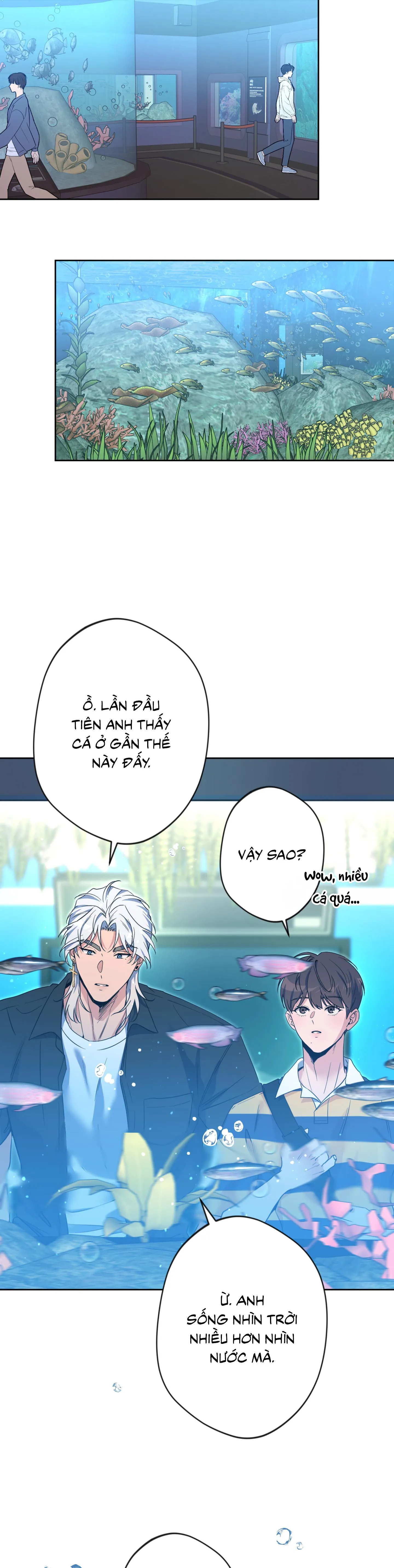 Angel kiss Chapter 50 Trang 14