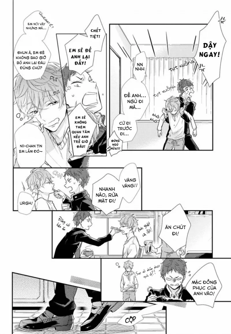 Đồ ngốc, anh biết mà Chapter 1 Trang 8