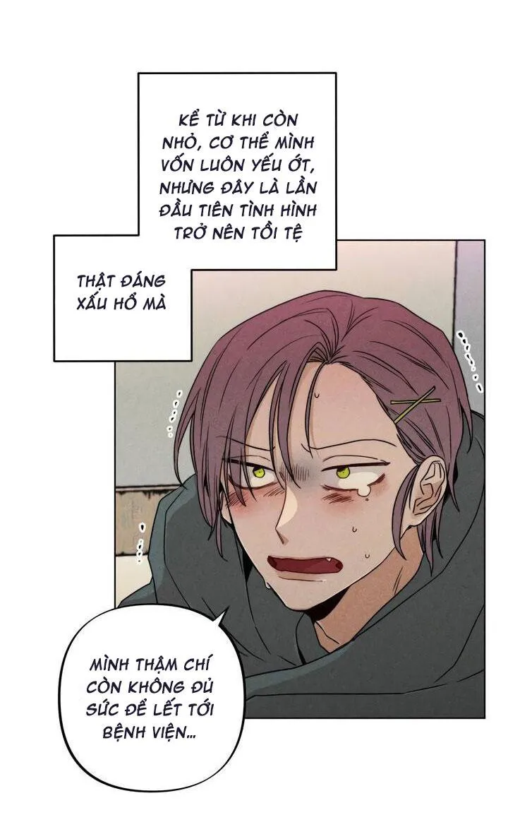 Anh Chàng Nhà Bên Là Ma Cà Rồng Chapter 1 Trang 3