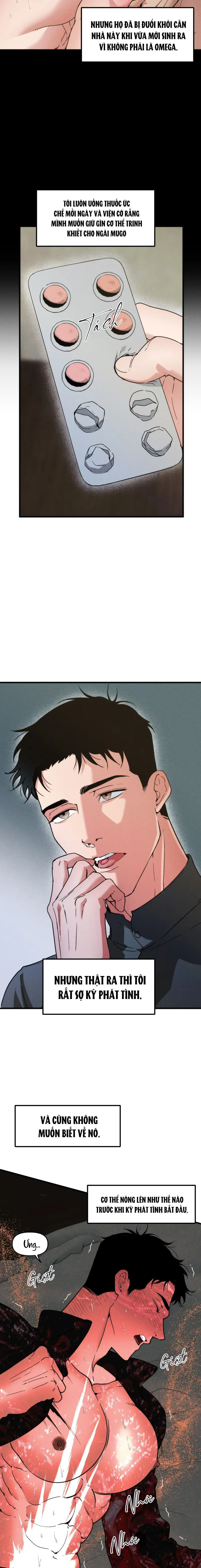 ANH CHỒNG TẾ PHẨM Chapter 36 Trang 3