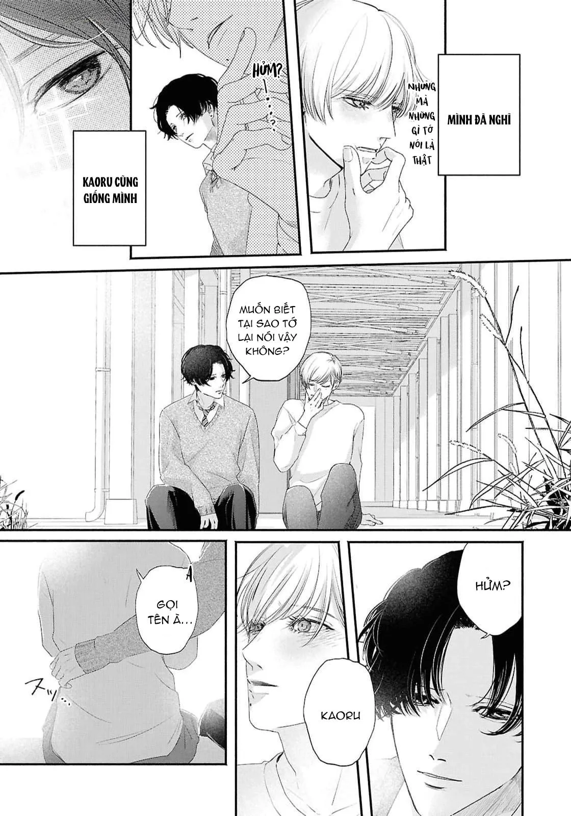 Anh em song sinh và thầy giáo Chapter 11 Trang 13