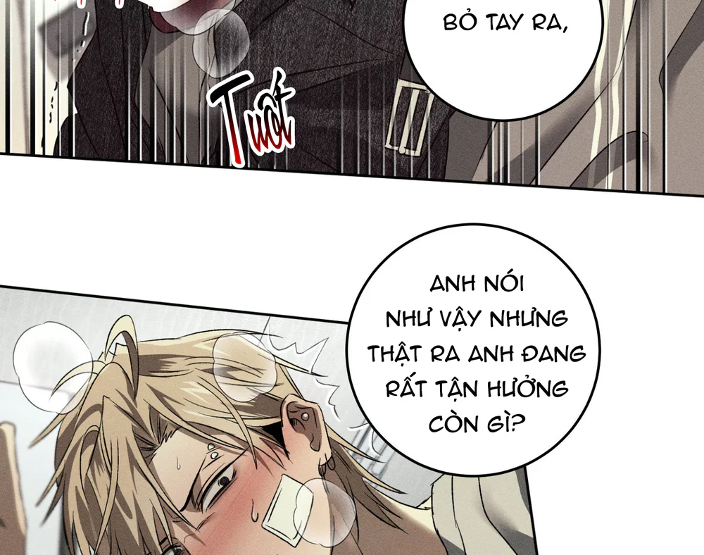 ANH EM TƯƠNG TÀN Chapter 11 Trang 8