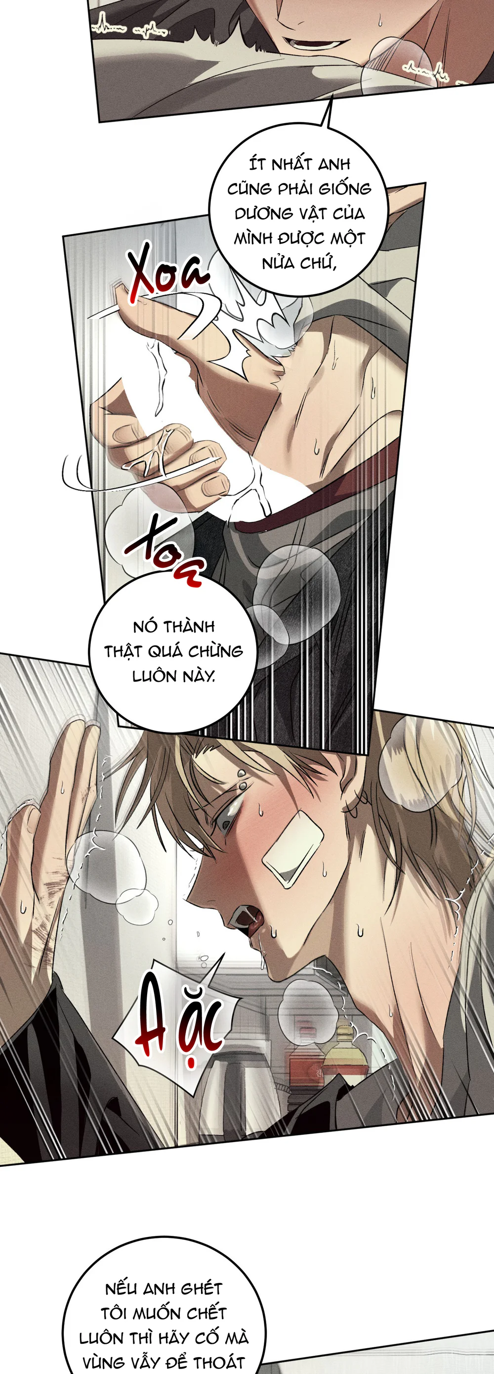 ANH EM TƯƠNG TÀN Chapter 11 Trang 11