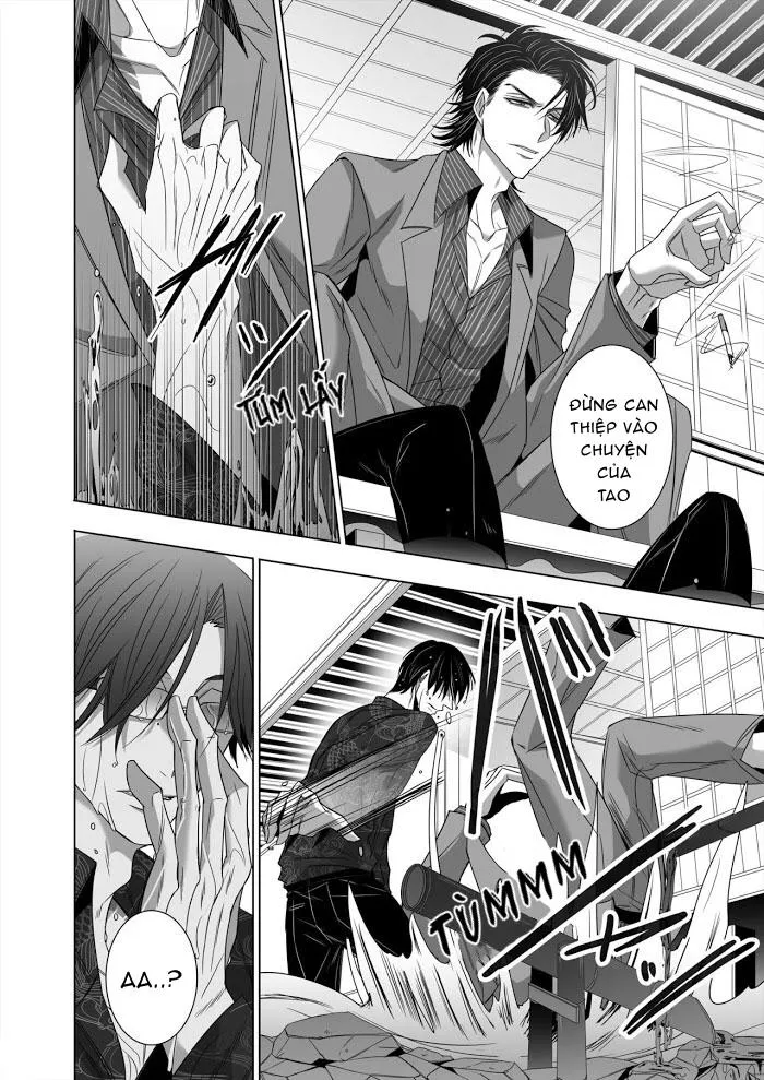 Ánh Mắt Chim Cốc, Ánh Mắt Diều Hâu Chapter 1 Trang 6