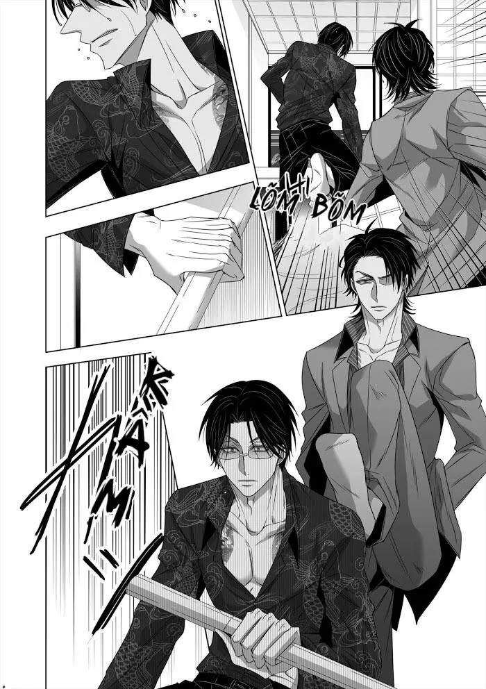 Ánh Mắt Chim Cốc, Ánh Mắt Diều Hâu Chapter 1 Trang 8