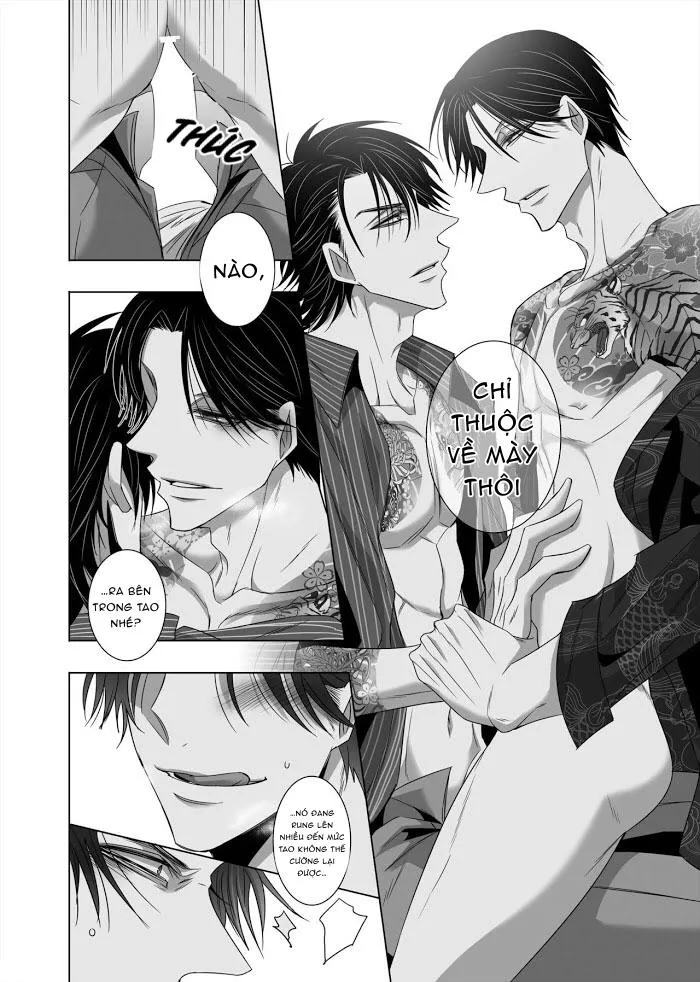 Ánh Mắt Chim Cốc, Ánh Mắt Diều Hâu Chapter 1 Trang 31