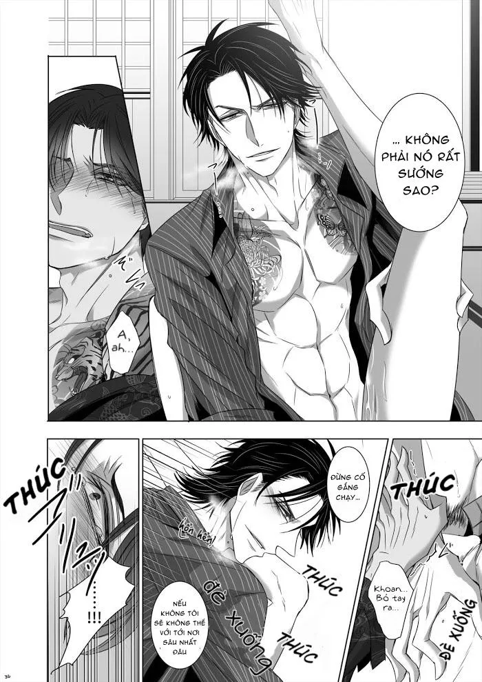 Ánh Mắt Chim Cốc, Ánh Mắt Diều Hâu Chapter 1 Trang 33