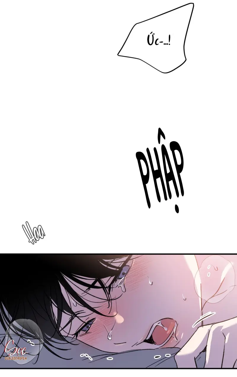 ÁNH MẮT LẠC NHỊP Chapter 2 Trang 50