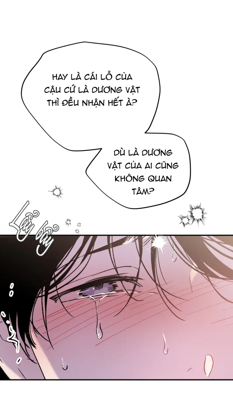 ÁNH MẮT LẠC NHỊP Chapter 2 Trang 58