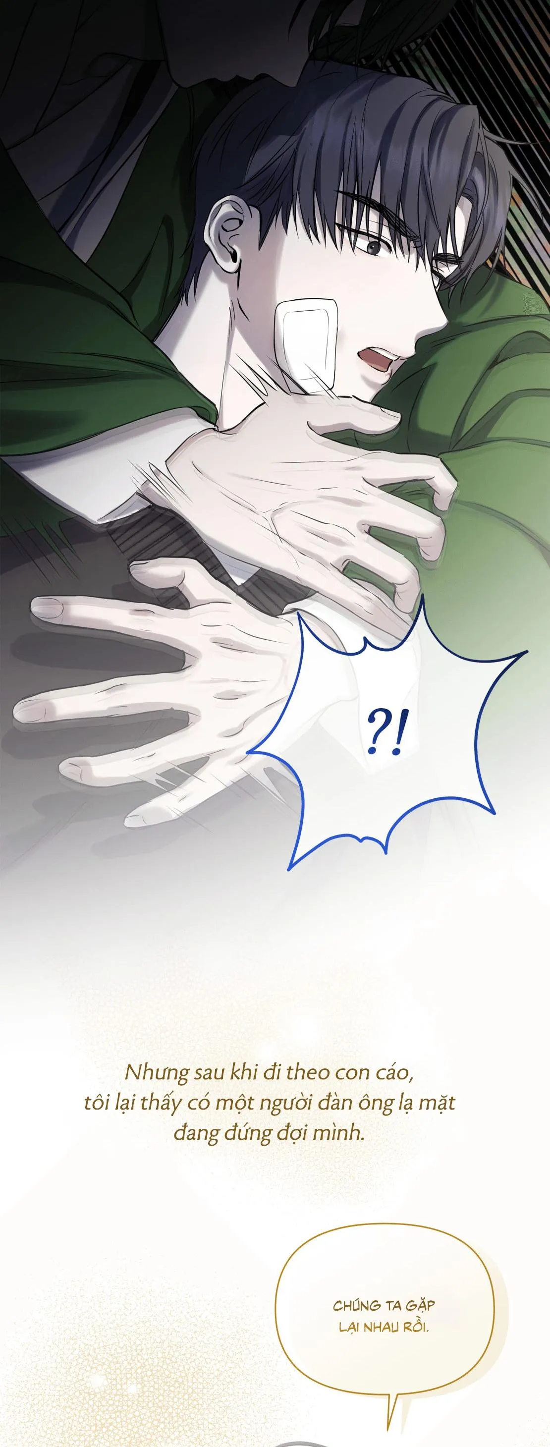 ÁNH NẮNG LEN LỎI Chapter 0 Trang 11