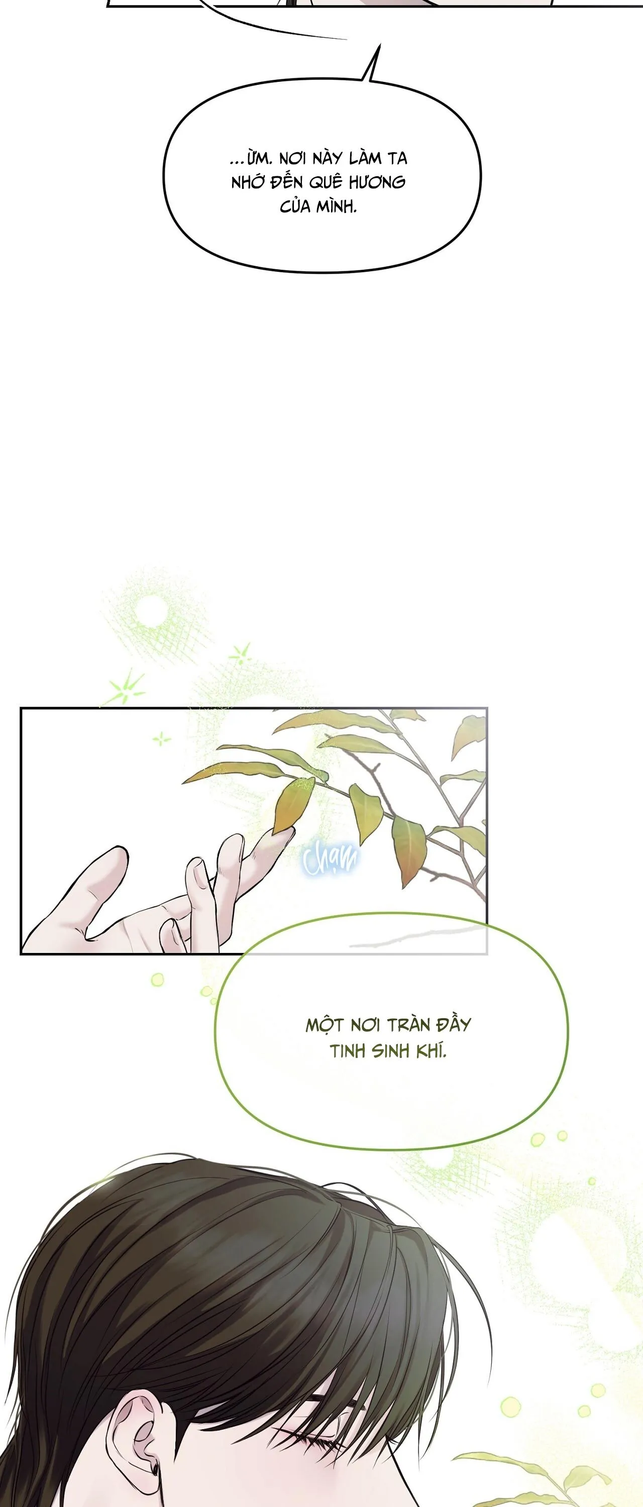 ÁNH NẮNG LEN LỎI Chapter 10 Trang 12