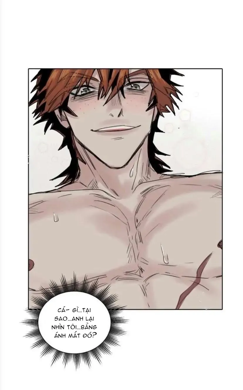 Ánh nhìn của Quạ Chapter 24 Trang 17