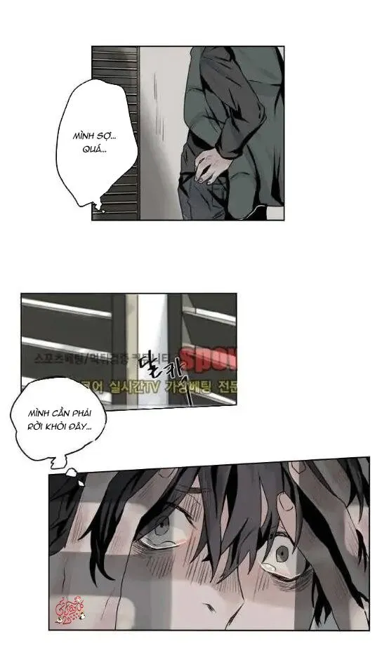 Ánh nhìn của Quạ Chapter 5 Trang 6