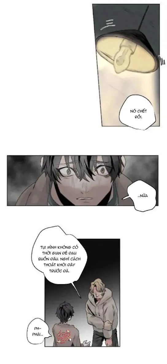 Ánh nhìn của Quạ Chapter 5 Trang 14