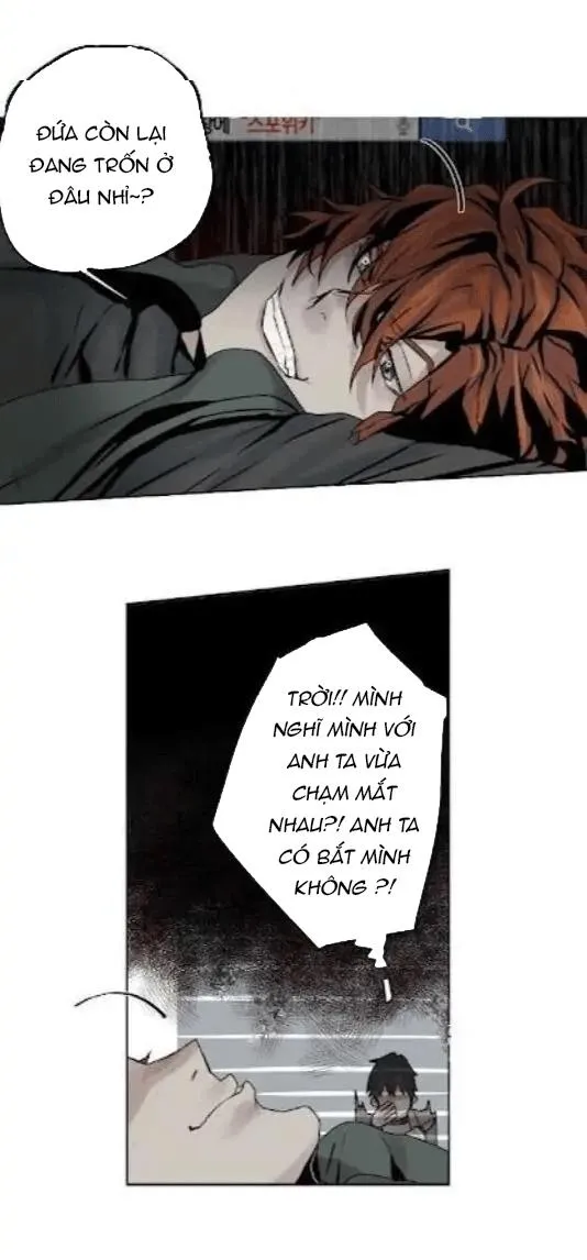 Ánh nhìn của Quạ Chapter 5 Trang 21