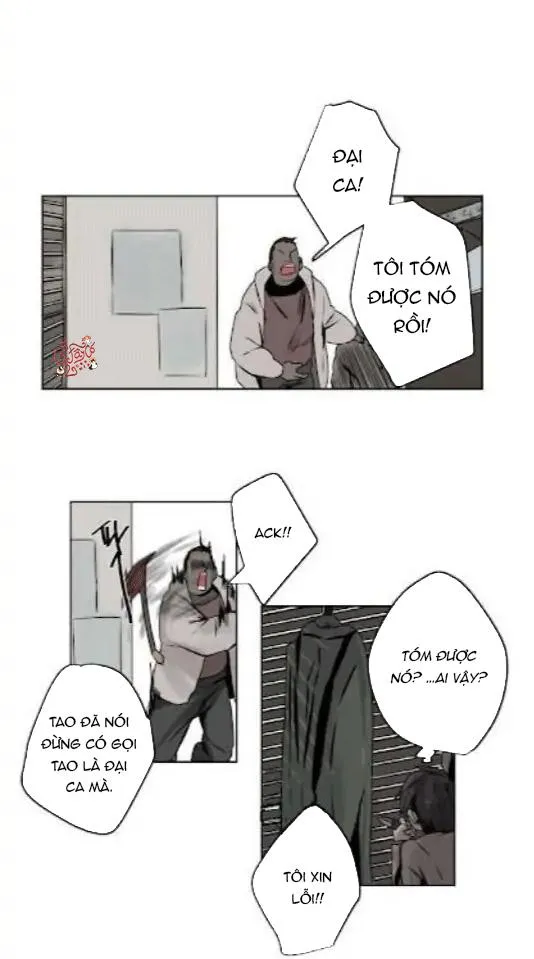 Ánh nhìn của Quạ Chapter 5 Trang 22