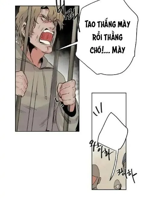 Ánh nhìn của Quạ Chapter 6 Trang 19