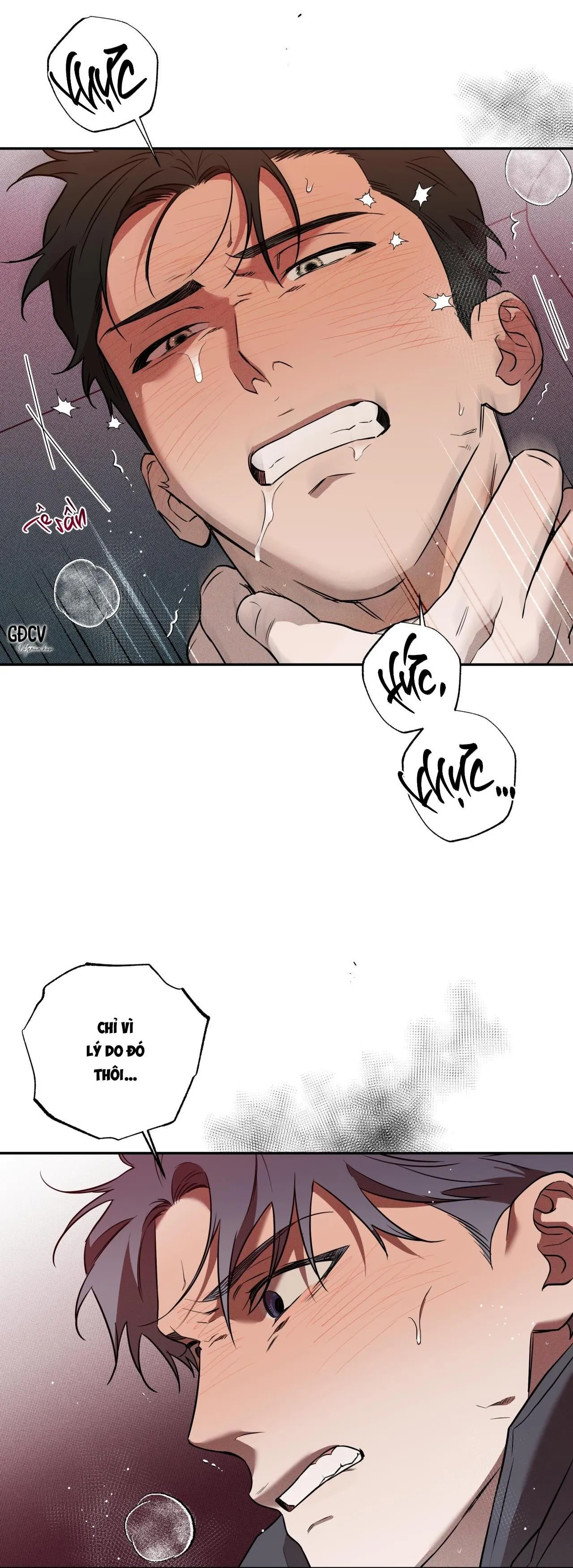 ANH RỂ Chapter 5 Trang 15