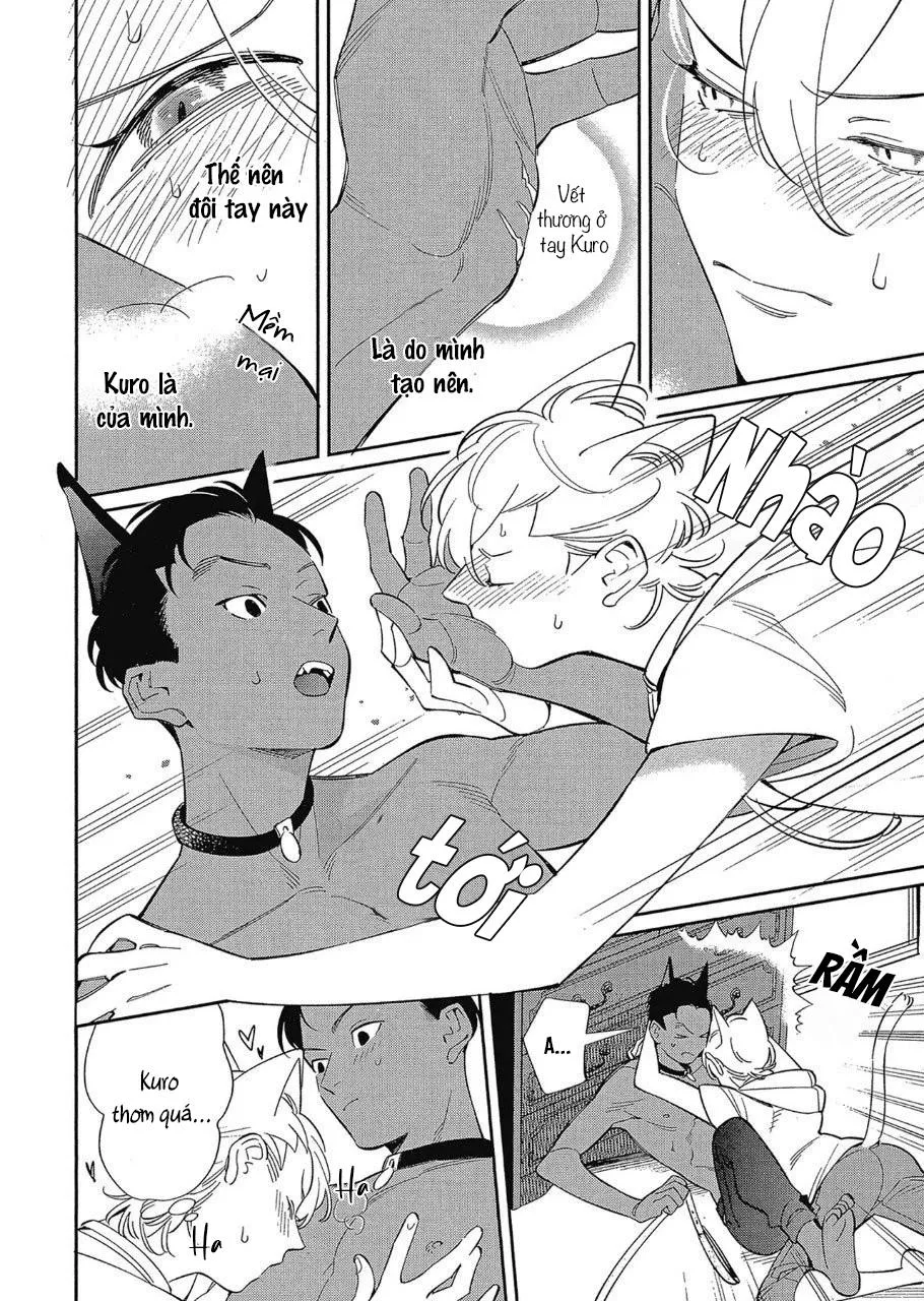 Anh sẽ chỉ được vuốt ve mỗi mình em Chapter 2 Trang 15