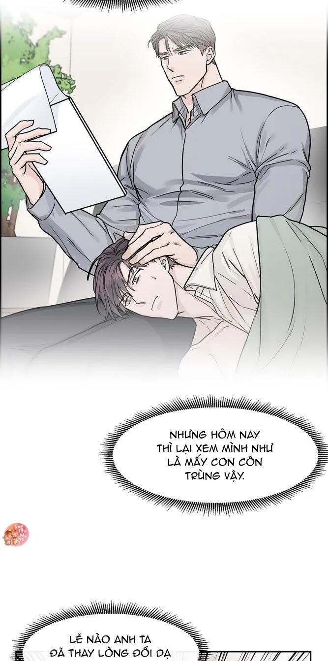 Anh sẽ đăng kí chứ? Chapter 21 Trang 18