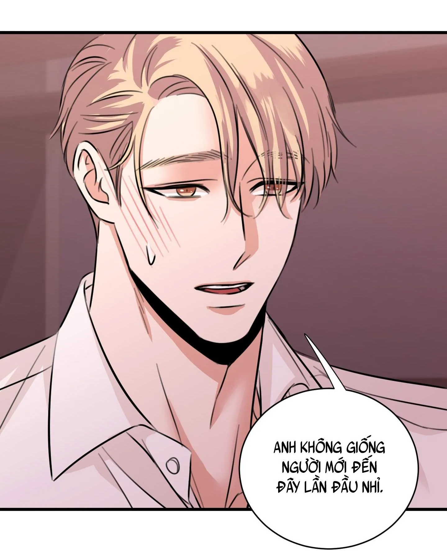 ANH SẼ PHẢI HỐI HẬN THÔI Chapter 24 Trang 28