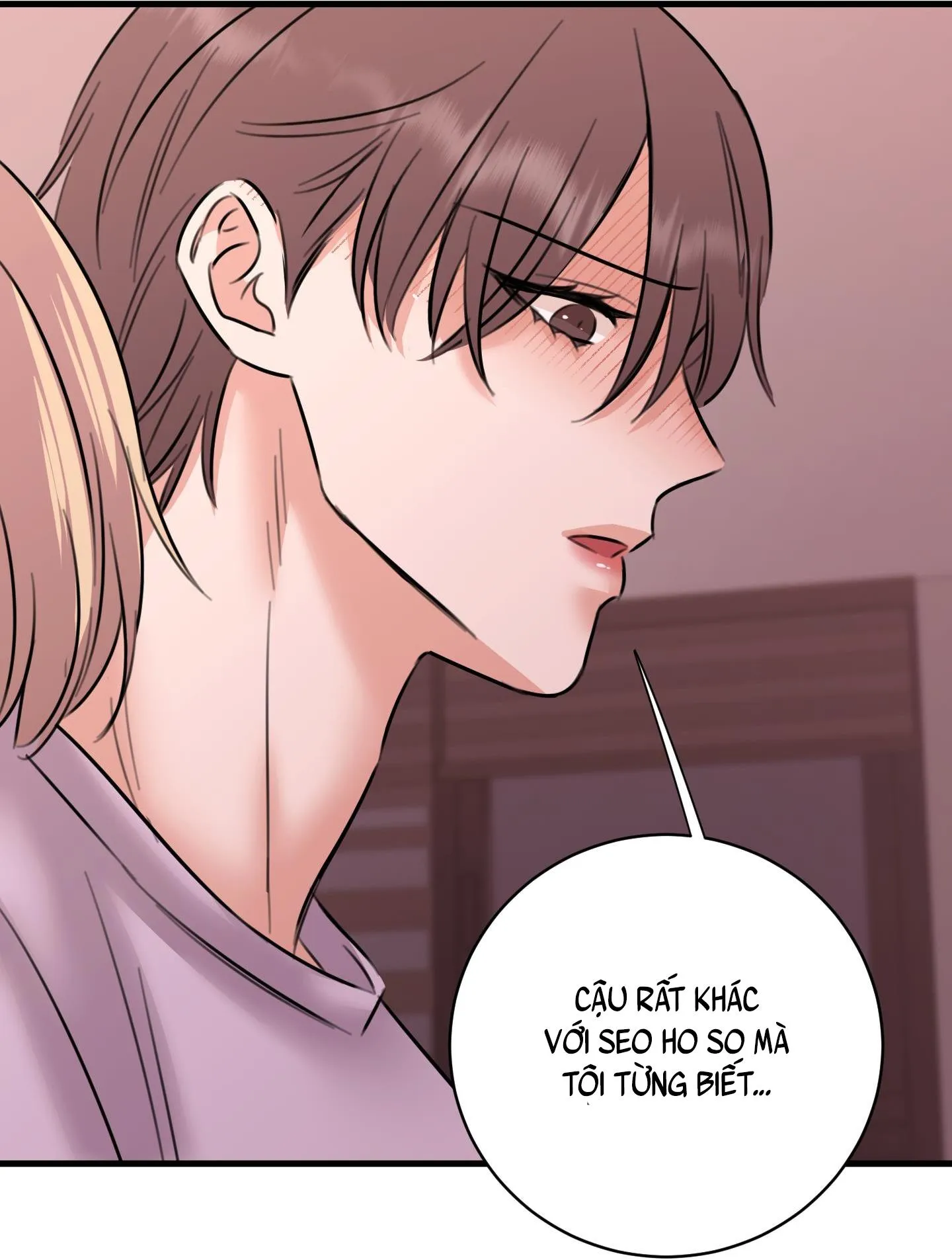 ANH SẼ PHẢI HỐI HẬN THÔI Chapter 24 Trang 153